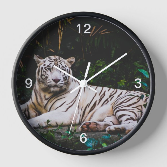 Horloge Tigre (Recto)