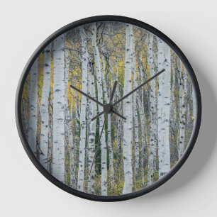 Horloge Troncs d'arbres de tremble Aspen, Colorado