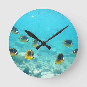 Horloge tropicale Hawaiian Fish Wall