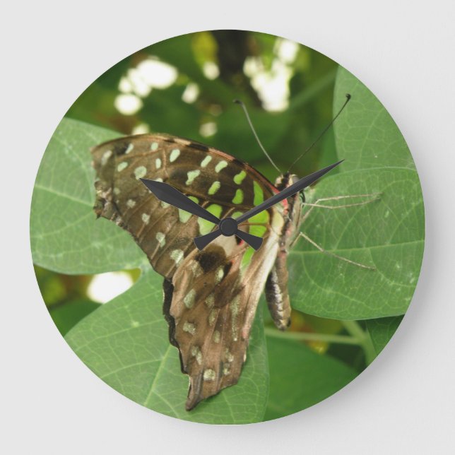 Horloge tropicale Iridescente Green Butterfly (Recto)