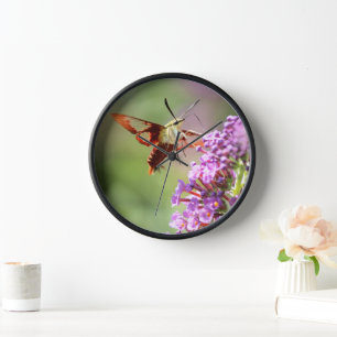 Horloge Un papillon de nuit sur un papillon