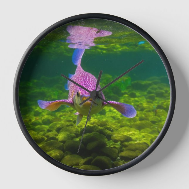 Horloge "Vidéos Blushing : Une montre de conception de poi (Recto)