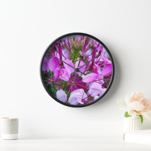 Horloge Vietnam - flower on Ha Giang plateau