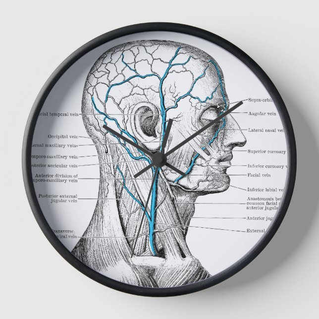 Horloge Visage veines muscles anatomie vintage (Recto)