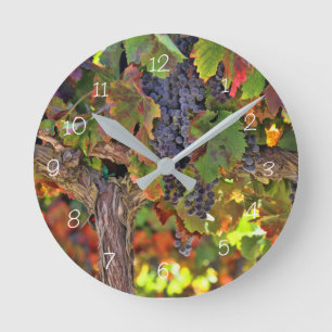 Horloge viticole de raisin