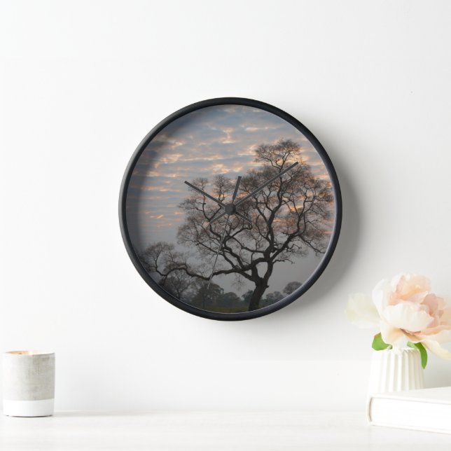 Horloge Zones humides du Pantanal | Amérique du Sud, Brési (Maison)