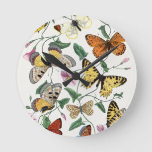 Horloges acryliques Papillon illustration Vintage