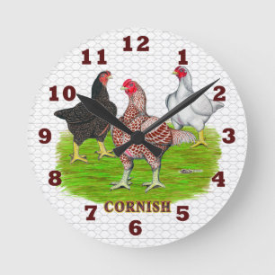 Horloges de poulets corniques