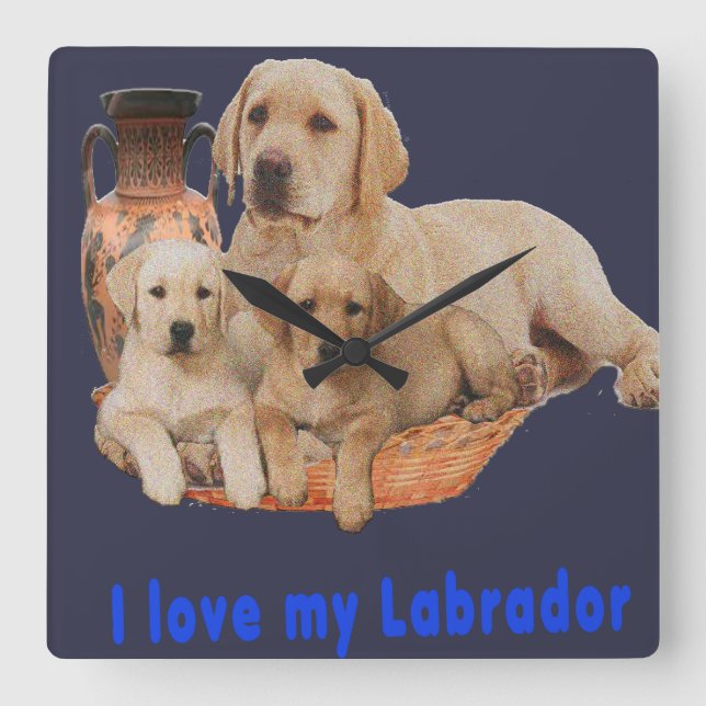 Horloges de récupération Labrador (Recto)