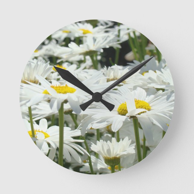 Horloges Décoratives Été Fleurs de Marguerite Blan (Recto)
