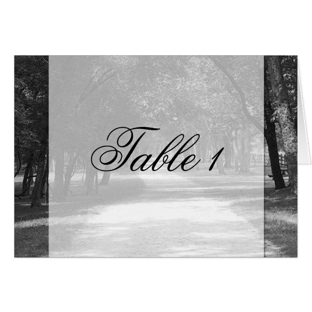 Hors de la carte de tente Numéro de table de chemi (Devant horizontal)