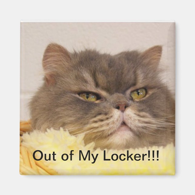 HORS DE LA MAGNET DE VERROUILLAGE (Devant)