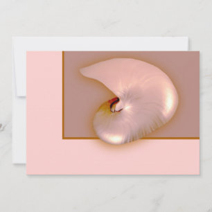 Hors Nautilus