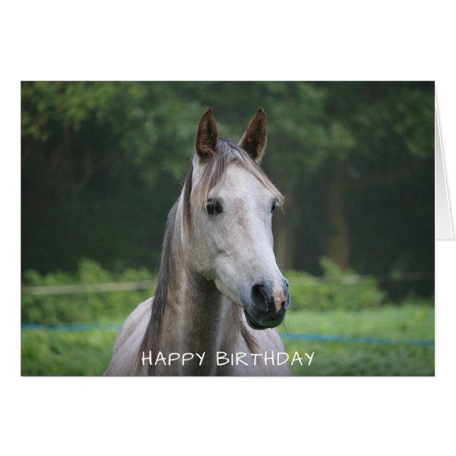 Horse Bonne Carte d'Anniversaire (Devant horizontal)