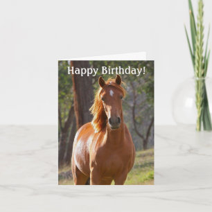 Horse Bonne carte d'anniversaire pour les amateurs