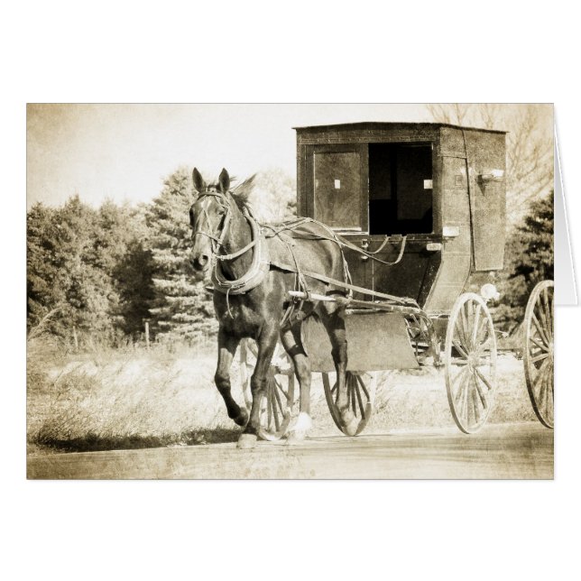 Horse et Buggy Sepia Toutes les occasions Carte de (Devant horizontal)