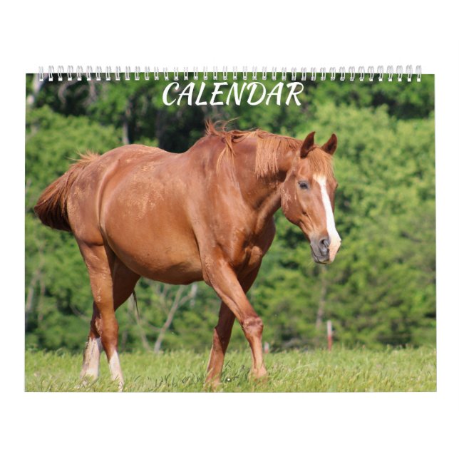 Horse Farm Bright Animé Coloré Calendrier (Protection)