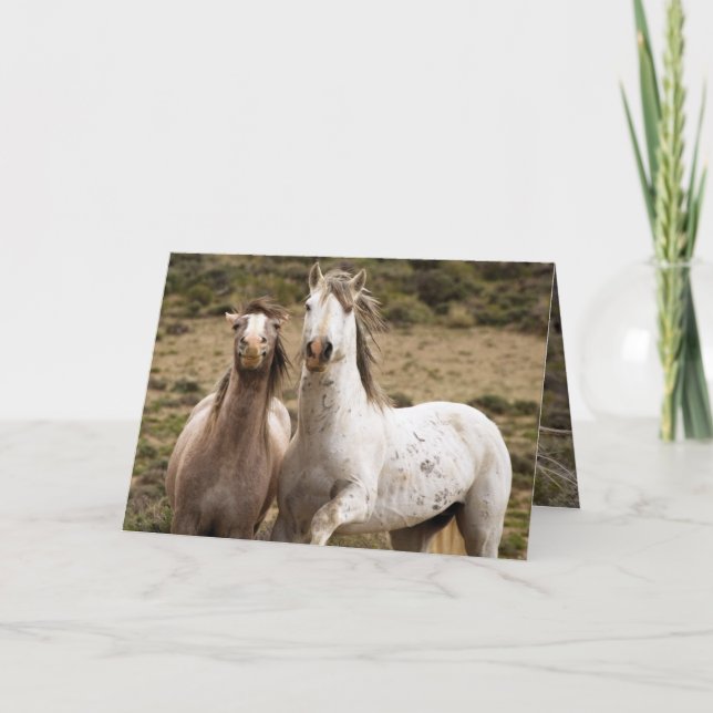 Horse Laugh Wild Horse Carte de voeux (Devant)