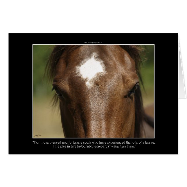 Horse-lover's Equine Animal-lover's Gift (Devant horizontal)