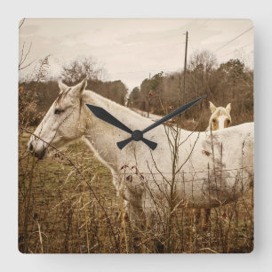 HORSE MAMA Horloge murale