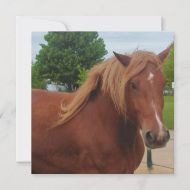 Horse Note Card | Elegant Equestrian Greeting Card (Devant)