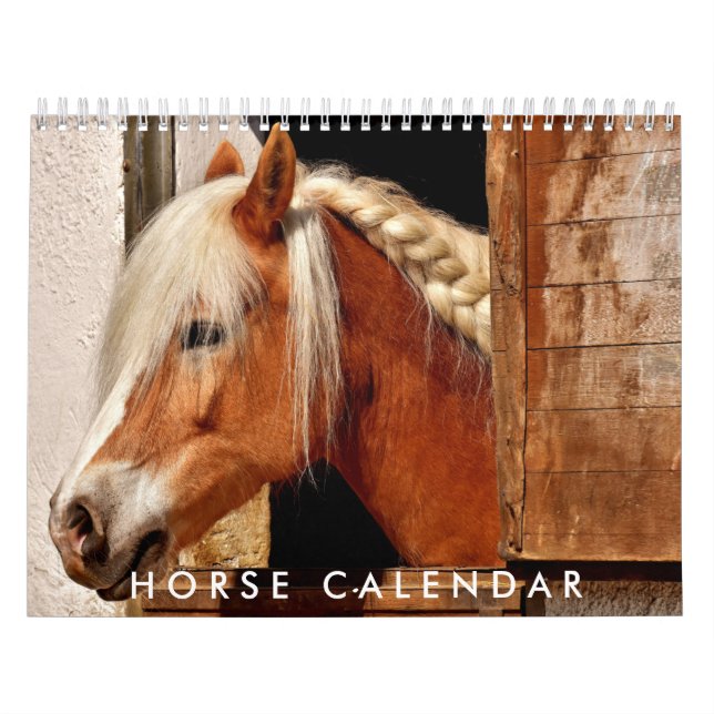 Horse Photo Calendrier 2026 Beau calendrier mural (Protection)