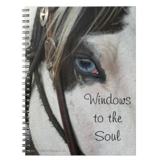 Horse Windows To Soul Carnet ou Journal