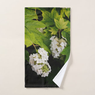 Hortensia à feuilles d'orme