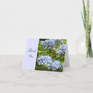 Hortensia Bleu Merci