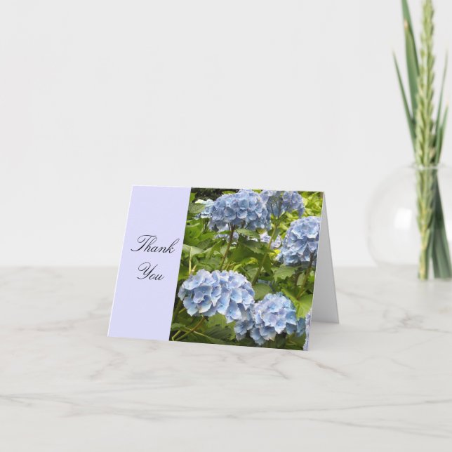 Hortensia Bleu Merci (Devant)
