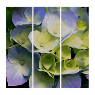 Hortensia Blossom Art Botanique Bleu Et Jaune