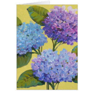 Hortensias de ressort I