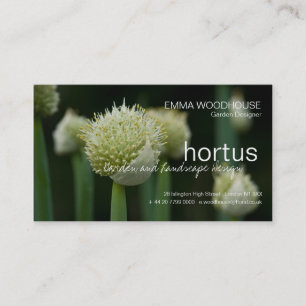 Hortus - Carte de visite allium