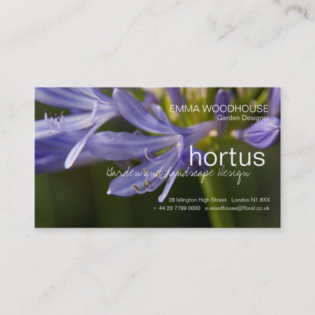 Hortus - carte de visite d'Agapanthus (Devant)