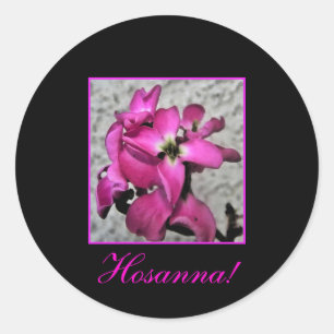 Hosanna ! autocollant à fleurs roses