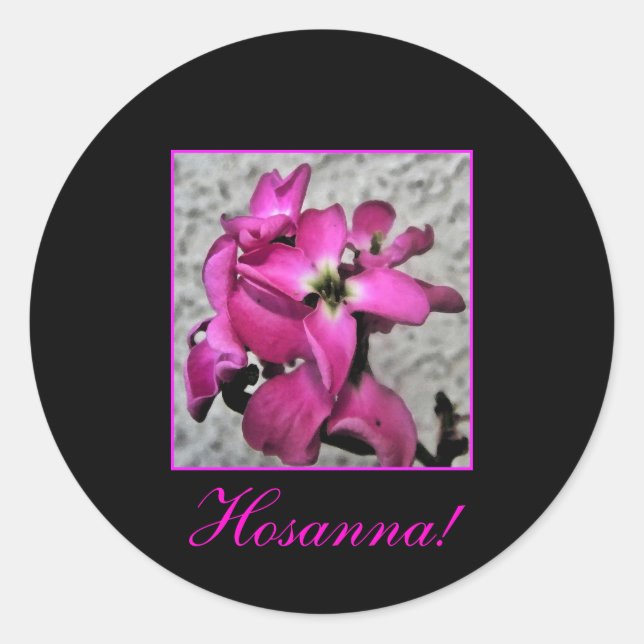 Hosanna ! autocollant à fleurs roses (Devant)