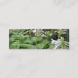 Hosta dans carte de visite du jardin 3 de zen un