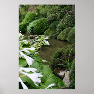 Hosta dans une affiche de jardin zen