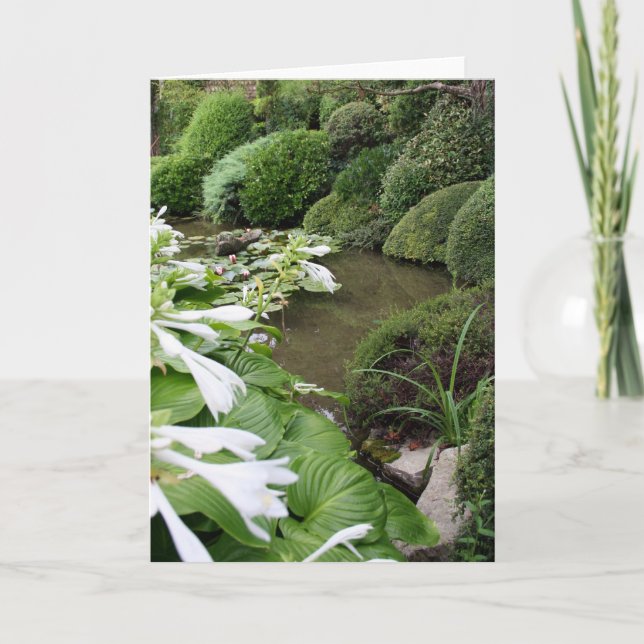 Hosta in a Zen Garden 1 Carte de voeux (Devant)
