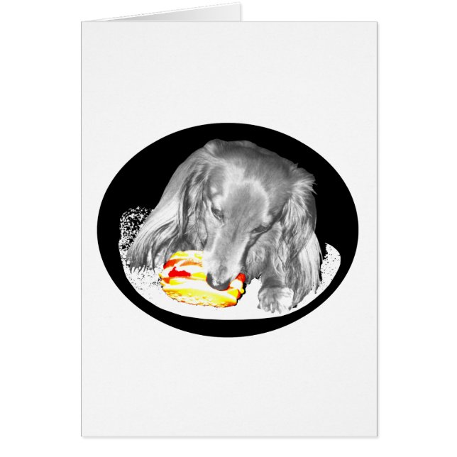 Hot Dog Attaque Cheeseburger, Nouvelles À Eleven.