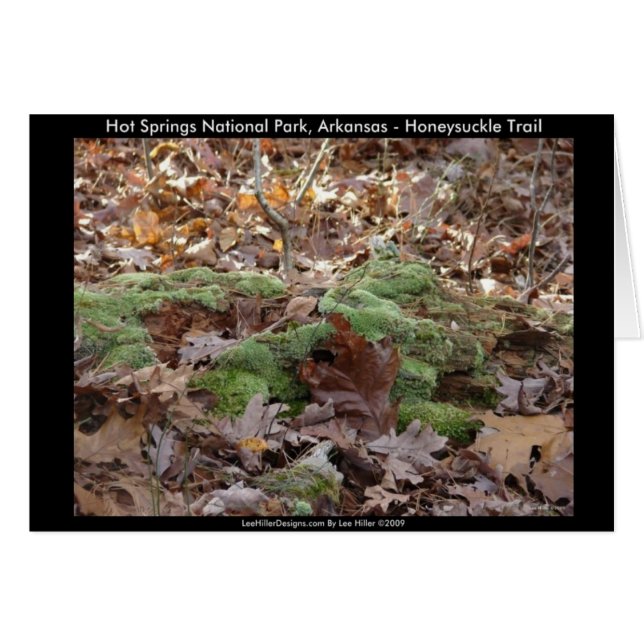 Hot Springs National Park, AR - Honeysuckle Trail (Devant horizontal)
