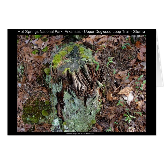 Hot Springs National Park, AR Upper Dogwood Loop (Devant horizontal)