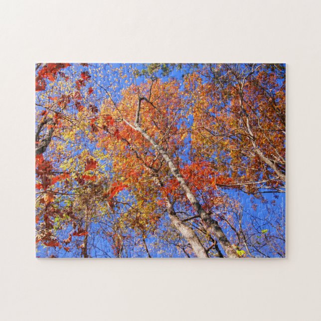 Hot Springs Parc National Autumn Leaves Puzzle (Horizontal)