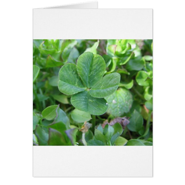 Housse à quatre feuilles (Devant)