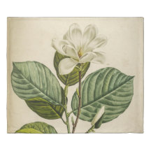 Couvercle blanc Magnolia King Duvet