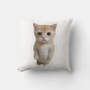 Housse de coussin de chaton orange debout mignon
