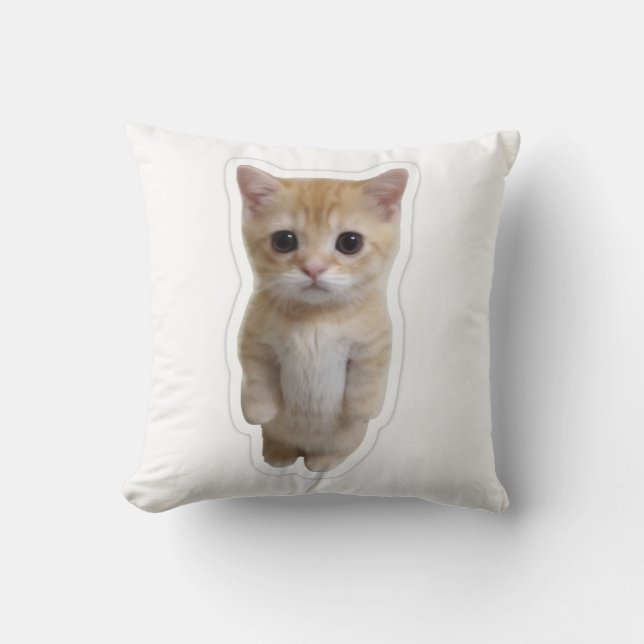 Housse de coussin de chaton orange debout mignon (Recto)