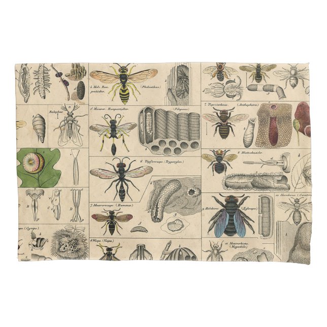 Housse D'oreillers Abeille Insecte Bug Wasp Nature Peinture des abeil (devant)