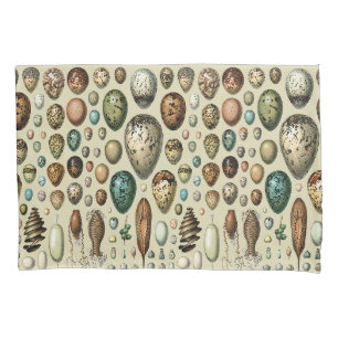 Housse D'oreillers Adolphe Millot Dark Academia Art Vintage Œuf d'ois