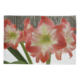 Housse D'oreillers Amaryllis en Fête Rouge Neige Hiver Floral